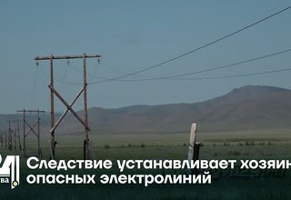Следствие устанавливает хозяина опасных электролиний
