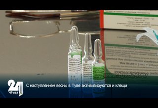 С наступлением весны в Туве активизируются и клещи