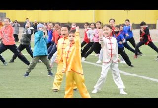 Фестиваль боевых искусств в честь открытия школы ушу