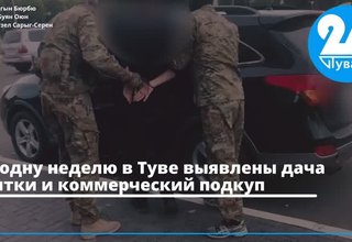 За одну неделю в Туве выявлены дача взятки и коммерческий подкуп