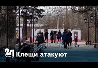 Клещи атакуют