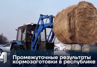 Промежуточные результаты кормозаготовки в республике