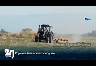 Кормовая база и животноводство