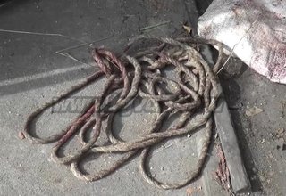 МВД разрабатывает меры по снижению краж скота