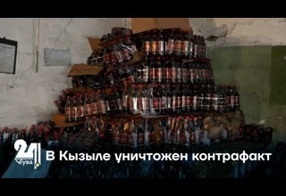 В Кызыле уничтожен контрафакт
