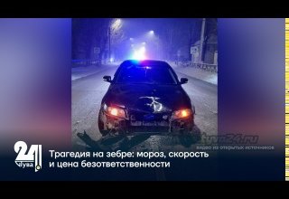 Трагедия на зебре: мороз, скорость и цена безответственности