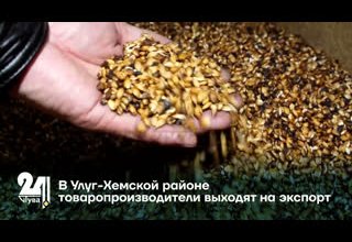 В Улуг-Хемском районе товаропроизводитель выходит на экспорт