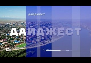 «Дайджест»