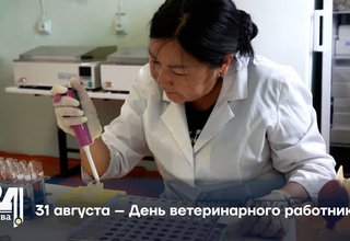31 августа – День ветеринарного работника
