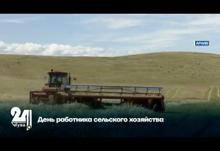 День работника сельского хозяйства