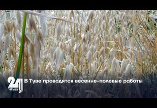 В Туве проводятся весенне-полевые работы