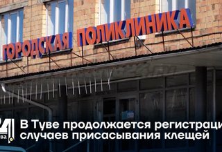 В Туве продолжается регистрация случаев присасывания клещей