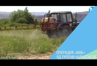 Операция «Мак»: яд против наркотиков