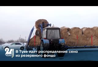 В Туве идет распределение сена из резервного фонда