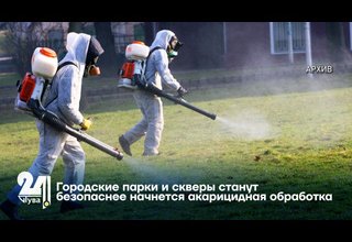 Городские парки и скверы станут безопаснее: начнется акарицидная обработка