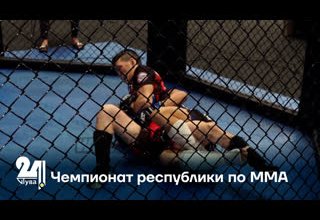 Чемпионат республики по ММА