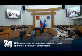 В Кызыле зарегистрирован первый случай гриппа А в текущем эпидсезоне