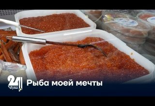 Рыба моей мечты