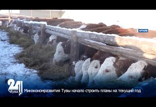 Планы Минэкономразвития Тувы на 2025 год