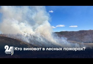 Кто виноват в лесных пожарах?