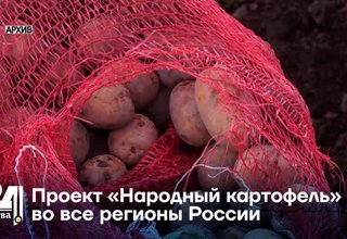 Проект «Народный картофель» во все регионы России