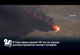 В Туве ввели режим ЧС из-за угрозы распространения лесных пожаров