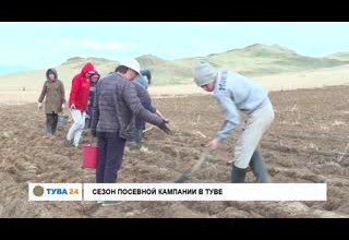 Сезон посевной кампании в Туве