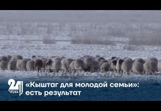«Кыштаг для молодой семьи»: есть результат
