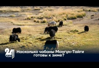 Насколько чабаны Монгун-Тайги готовы к зиме?
