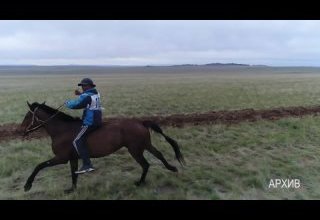 На конных скачках пострадали несовершеннолетние